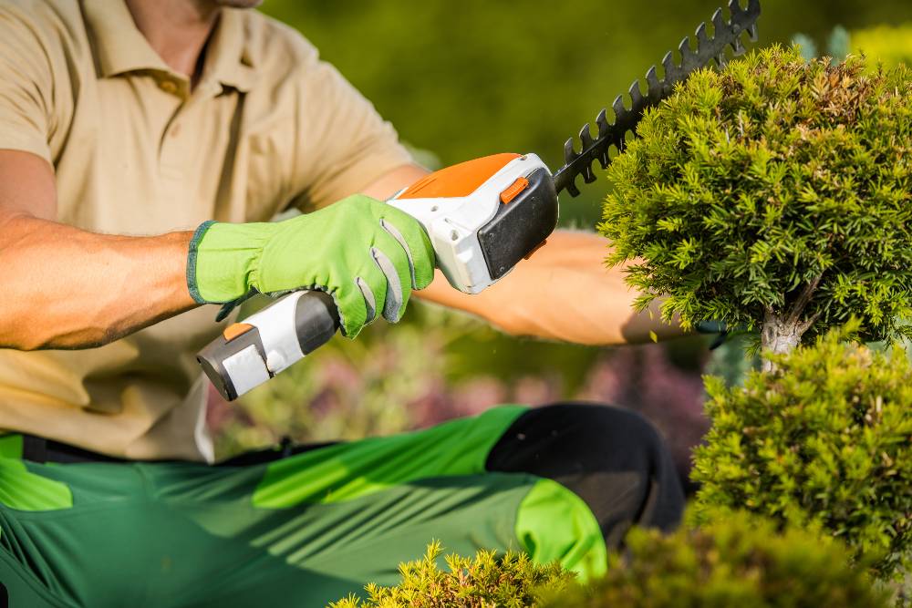 Expert garden maintenance service in Matraville, Sydney