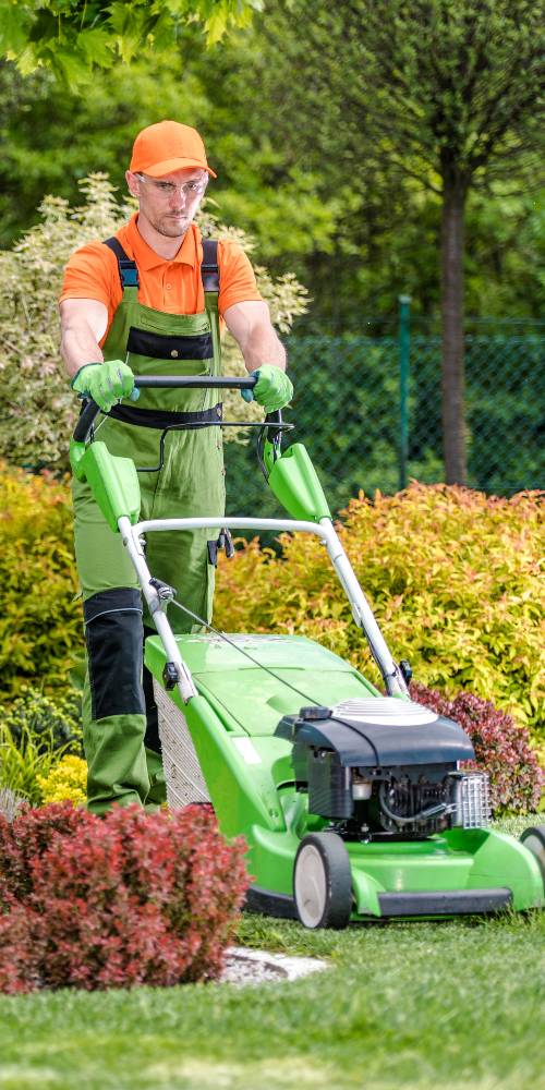 Affordable lawn mowing services in Matraville, Sydney